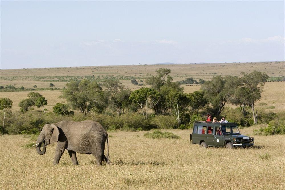 Rekero Camp Hotel Mara Simba Eksteriør billede