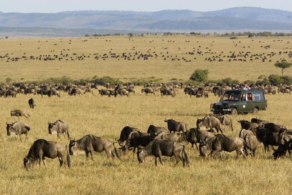 Rekero Camp Hotel Mara Simba Eksteriør billede